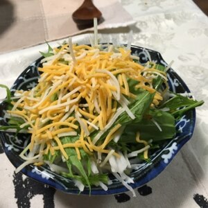 チーズたっぷり♪水菜と大根のハリハリサラダ